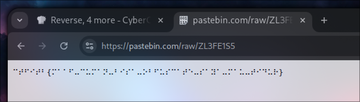 Pastebin raw Braille content